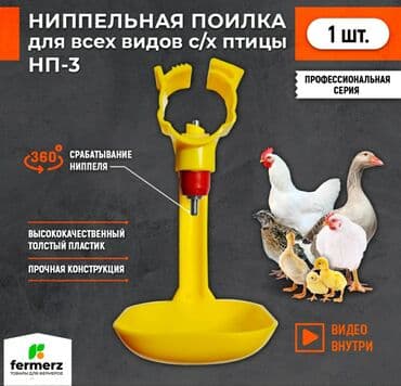 pişik su qabı: Yem qabı, Su üçün, Quşlar üçün, Rayonlara çatdırılma, Ünvandan götürmə, Ödənişli çatdırılma — 1