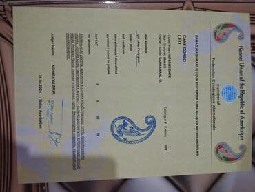 xarkov toyuq yumurtası: Kane-Korso, 2 il, Erkek, Peyvəndli, Ünvandan götürmə — 6