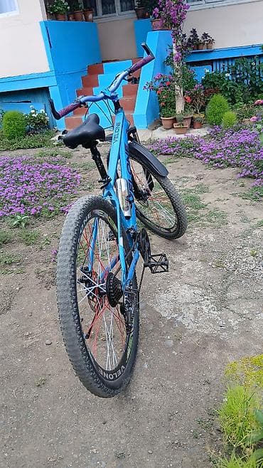 volta vsx: 1 ayin velosifedidi hecbir pirablemi yoxdu — 4