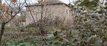 bine atciliq satilan evler: 36 sot, Kənd təsərrüfatı, Mülkiyyətçi, Kupça (Çıxarış) — 6