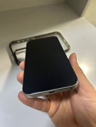 iphone x silver: IPhone 16 Pro Max, 256 GB, Gümüşü, Face ID — 7