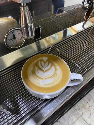 Qida məhsulları: Barista tələb olunur Xanım İş örgədilir — 1