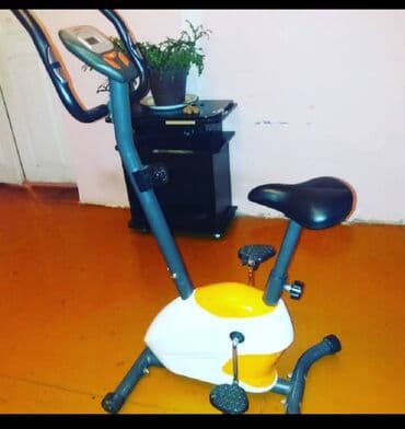 Velotrenajor ela vəziyyətdə. Bir çox velotrenajor Xizək Veloxizekler