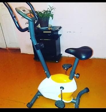 velo motor: Velotrenajorlar — 1