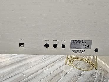 Nəfəs alətləri: Piano, Rəqəmsal, Yeni — 8