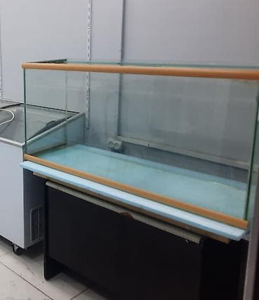 akvar: Şüşə akvarium komplekti - Material: qalın şüşə panellər, kənarlarda — 2