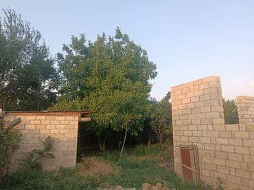 türkanda bağ evi satılır: Агджабеди, 110 м², 3 комнаты, Без бассейна, Коммунальные линии не подключены — 8
