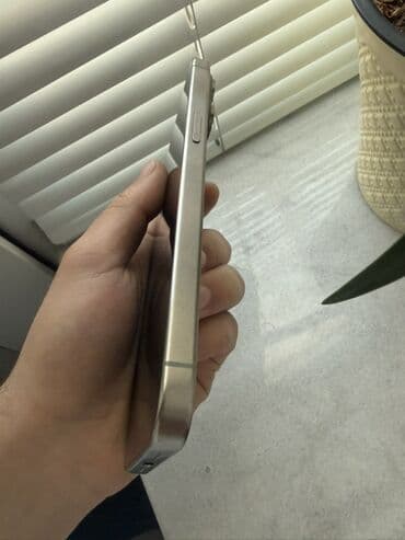 Avtoelektronika: IPhone 15 Pro Max, 256 GB, Gümüşü, Face ID — 5