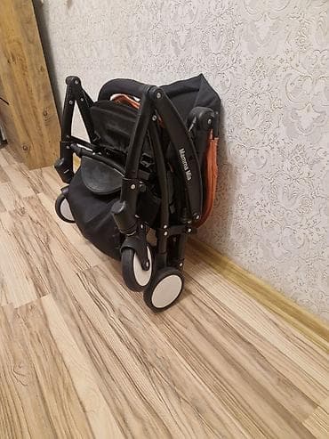 uşaq karaokesi: Klassik gəzinti arabası — 2