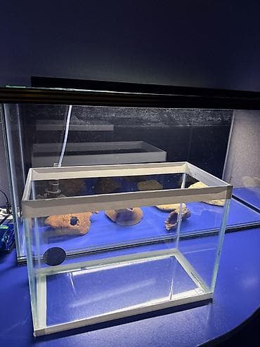 Heyvanlar: Dördbucaq akvarium, Boş, 96 l, Ünvandan götürmə, Pulsuz çatdırılma — 5