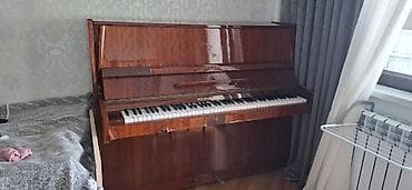 Gitaralar: Piano, Rostov-Don, Akustik — 7