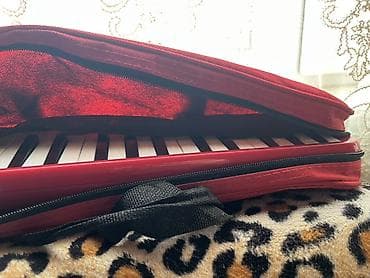 Velosipedlər: Akkordeon, Yeni, Ünvandan götürmə — 2