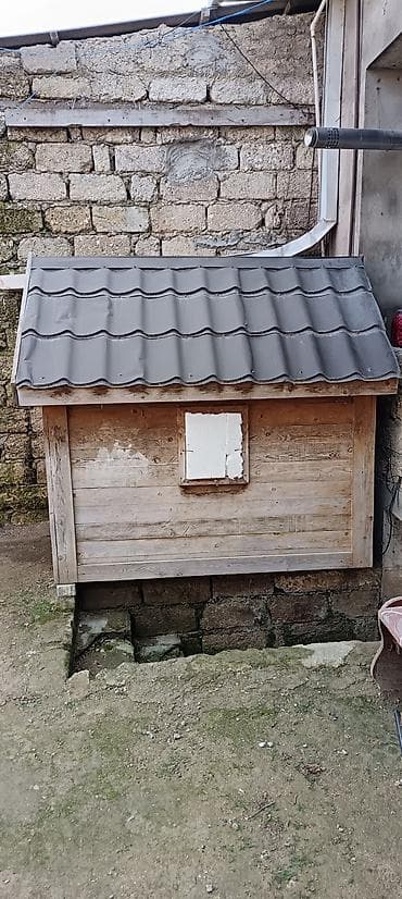 Собаки: Taxta quşxana / quş yuvası - Material: tamamilə taxtadan yığılıb — 4