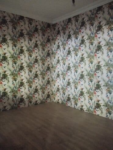 nerimanov ev: Həyət evi – geniş həyət sahəsi və içəridə işıqlı otaqlar - Geniş və — 3