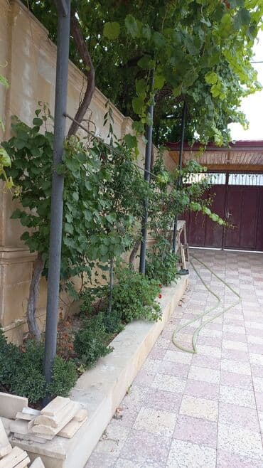 neftcilər kirayə evlər: Qaraçuxur qəs. 8 otaq, 220 kv. m, Kredit var, Orta təmir — 15
