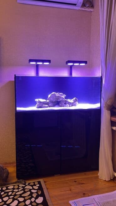 Словари: Ekstra klear shisheden hazirlanmish arxa sampli 1 metrin 40x40 a — 2