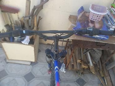 vlosipet: Olympia Magnum dağ velosipedi - Rəng: mavi, “Magnum” seriyası - — 3