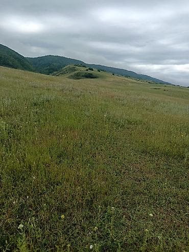 300 sot, Biznes üçün, Barter mümkündür, Kupça (Çıxarış) — 4