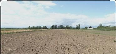 Samux Rayon Qiyaslı kəndinde 36 sot torpaq sahesi satılır. Torpaqin — 2