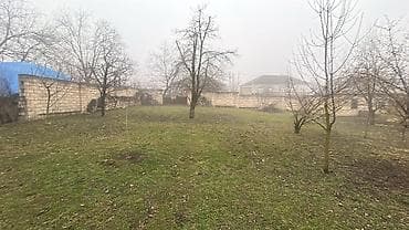 şəkidə torpaq satılır: 15 sot, Tikinti, Mülkiyyətçi, Kupça (Çıxarış) — 2