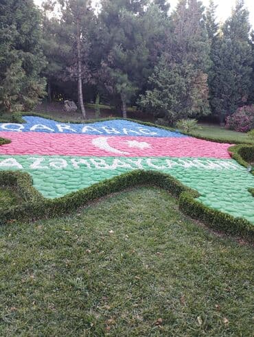 xadime qabyuyan: Kafe ve restoranda qab yuma işi axdarıram gence sevınc qesebesı de — 1