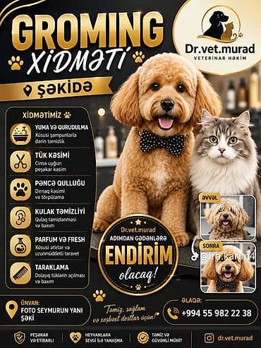 Heyvanlar: ZOOMARKET – Ev heyvanlarının baxımı, qrominq və baytarlıq xidmətləri — 10
