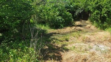 xacmazda findiq bagi satilir: 24 sot, Kənd təsərrüfatı, Mülkiyyətçi — 2