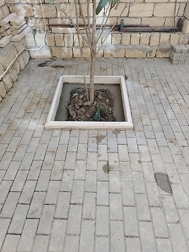 dirnaq uzadan lak: Tamet (bardür və səki daşı) döşəmə xidməti - Həyətyanı sahə, qaraj — 7