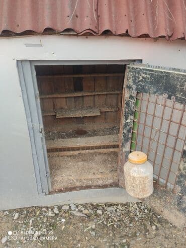 qus evi: Quşxana Satlır 30 cüt xana — 4