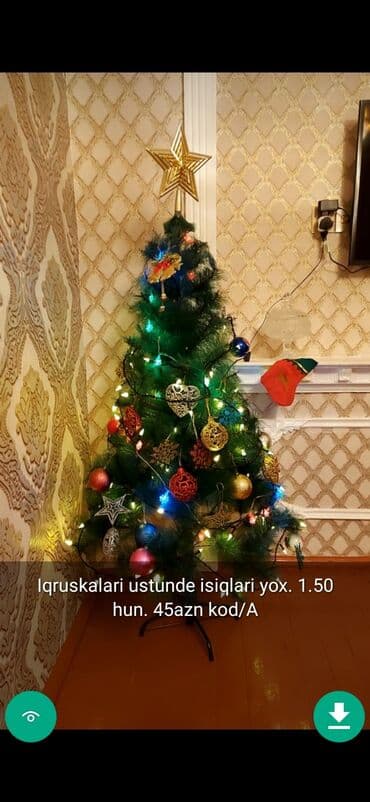 xurma ağacı: Yolkalar şaxda baba sekillerde qiymət məlumat qeyd olunub unvan Gence — 13