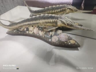 qazıntı işləri: Sifarişlə əl işləri | Suvenirlər — 1