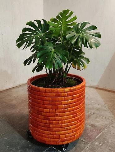 Горшки для растений: Istəyiniz ölçüde istehsal edirik rəng seçimi var, 5 ededen cox olduqda — 1