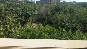 heyət evi: 8 otaq, 220 kv. m, Orta təmir — 21