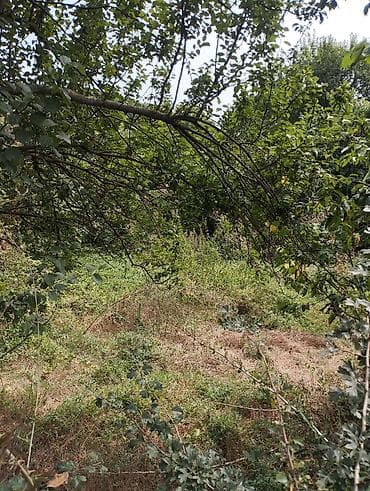 qubada torpaq satisi: 5 sot, Tikinti, Maklerlər narahat etməsin, Kupça (Çıxarış) — 1