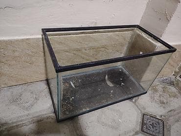 Şüşə akvarium - Material: qalın şüşə korpus, üst və alt hissədə at lalafo.az Şüşə akvarium - Material: qalın şüşə korpus, üst və alt hissədə