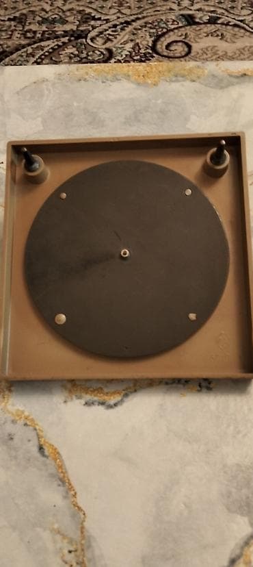 gitara satisi: At füqur satılır. Əla vəziyyətdədir — 4