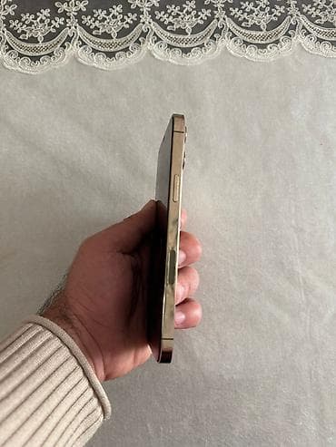 pec satilir: IPhone 12 Pro Max, 256 GB, Qızılı, Face ID — 4