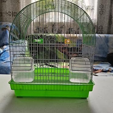 amadin qulda: Quş qəfəsi – kiçik dekorativ quşlar üçüş - Material: sinklənmiş metal — 2