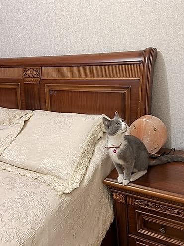 reception masa: Yataq otağı mebel dəsti Tərkibi: - İki nəfərlik çarpayı (başlıqda — 4