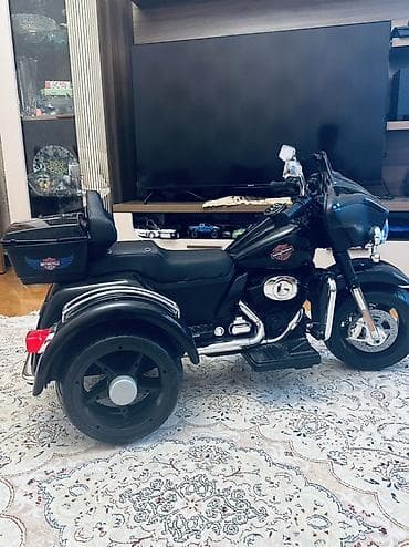 Детский мир: Uşaq üçün velosiped və elektrikli üçtəkərli motosiklet dəsti 1) Trek — 4