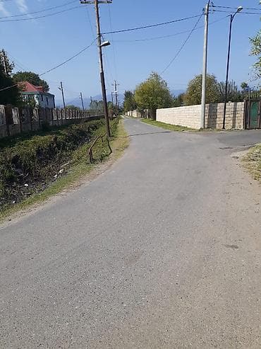 binede torpag: 6 sot, Tikinti, Mülkiyyətçi, Kupça (Çıxarış) — 8