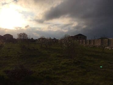 ist petrol tbilisi prospekti: 25 sot, Tikinti, Makler, Kupça (Çıxarış) — 3