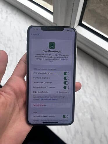 Lincoln: IPhone Xs Max, 64 ГБ, White Titanium, Face ID — 2