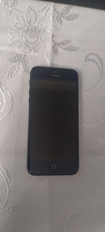 Аудиотехника: IPhone 5, 16 ГБ — 1