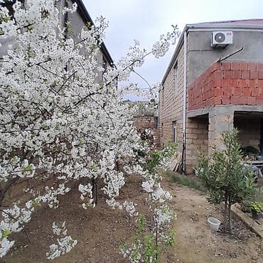 hovsanda evler: 7 комнат, 230 м², Свежий ремонт — 4