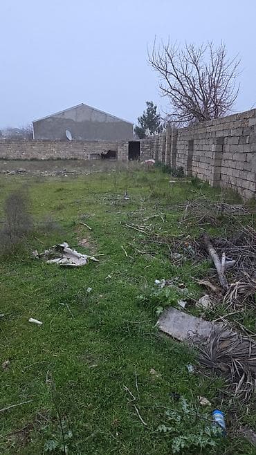 ev gence: Tikinti — 2