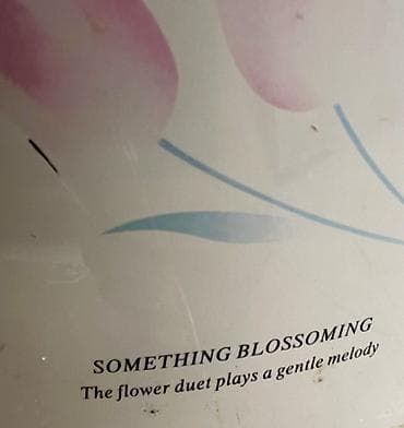 qoz ceken aparat: Qazan, rəng - Qara, Alüminium — 9