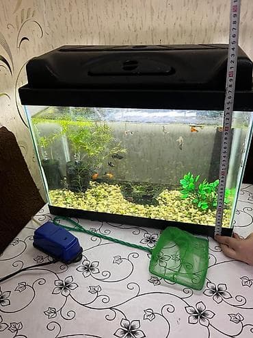 akva: Salam. Zavod istehsali akvarium satilir.Sekilde gorduyunuz kimi qapagi — 7
