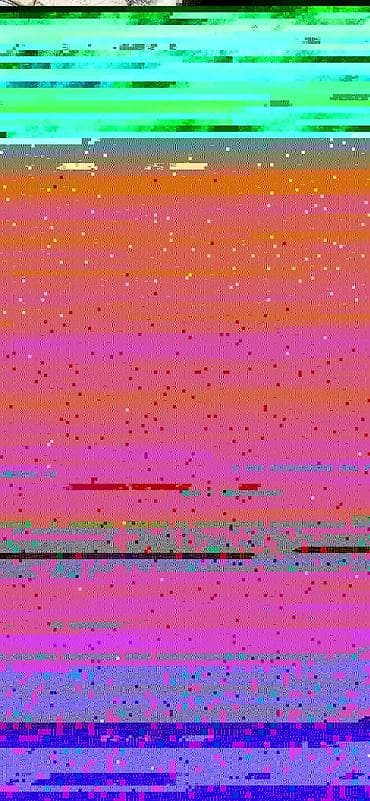 berde mal bazari: 4 aylıq dişi balanan 8 l südlə satılır.Yağlıdı 3 cü qarındı.Bəhərində — 3