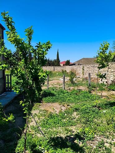 evler satisi: 9 sot, Tikinti, Barter mümkündür, Kupça (Çıxarış) — 2